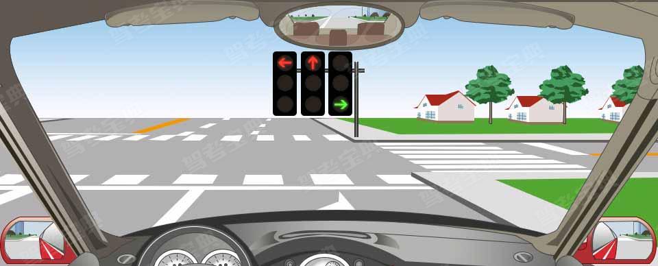 如图所示，驾驶机动车在路口遇到这种信号灯可以怎样行驶？