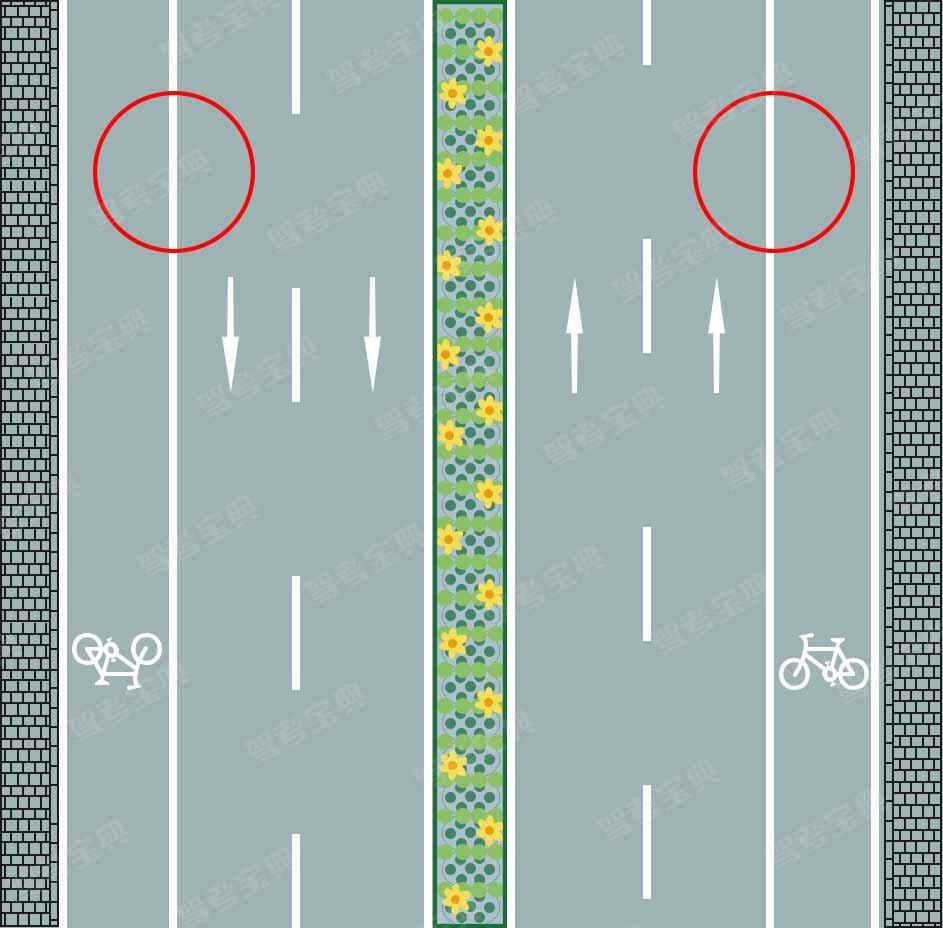 图中路两侧的车行道边缘白色实线是什么含义？