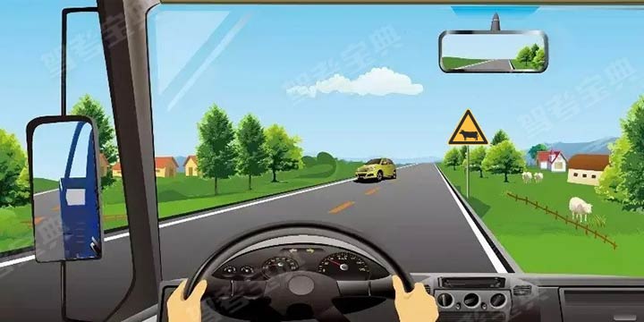 如图所示，驾驶机动车在农村道路行驶，需要注意的是什么？